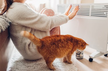 9 best radiant heaters for chilly winter months