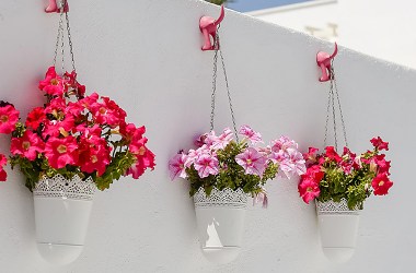 Hanging Planters